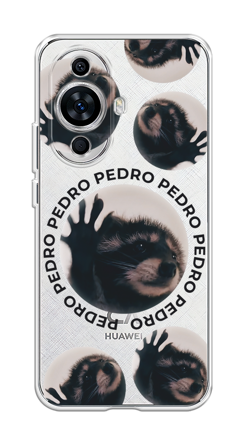 

Чехол на Huawei Nova 11 "Pedro енот", Черный;бежевый;прозрачный, 6121250-1