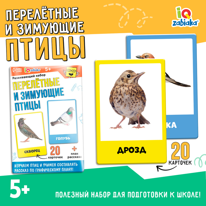 Игрушка канатная Сланец, до 50 г, до 15 см, микс цветов