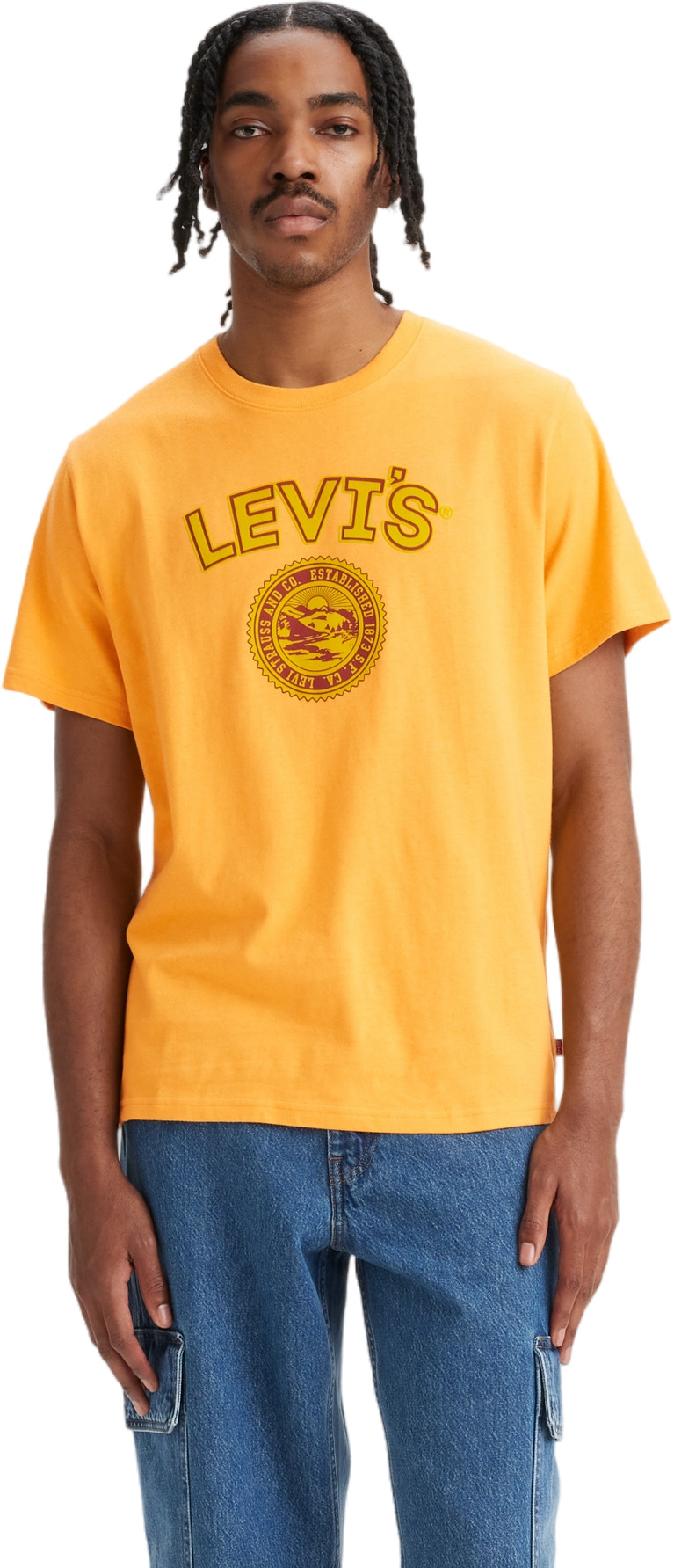 

Футболка мужская Levi's SS RELAXED FIT TEE ORANGES оранжевая M, Оранжевый, SS RELAXED FIT TEE ORANGES