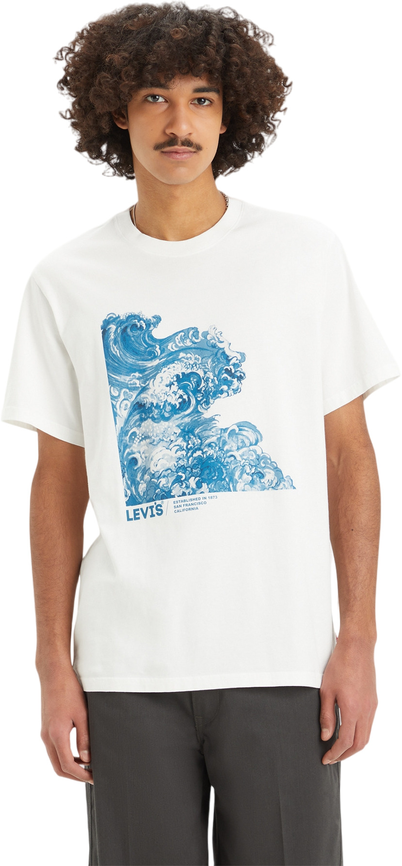 

Футболка мужская Levi's Relaxed Fit Graphic Tee белая XL, Белый, Relaxed Fit Graphic Tee