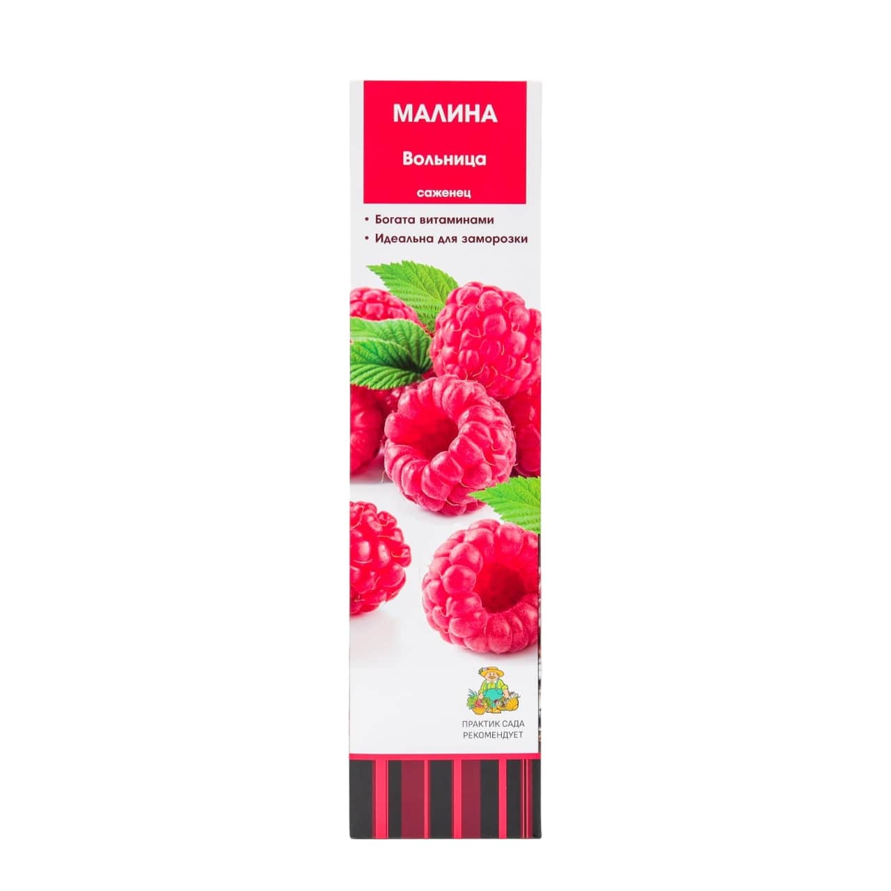

Малина Вольница