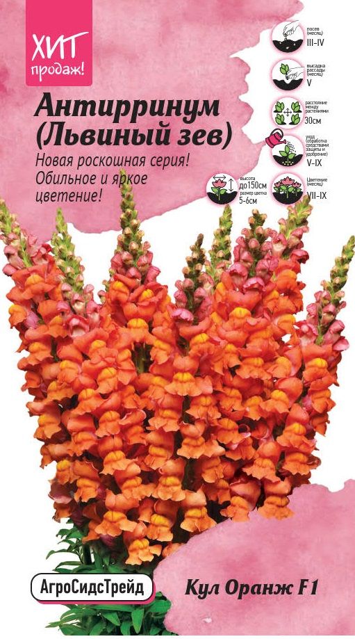 

Антиринум Кул Оранж 10 шт АСТ