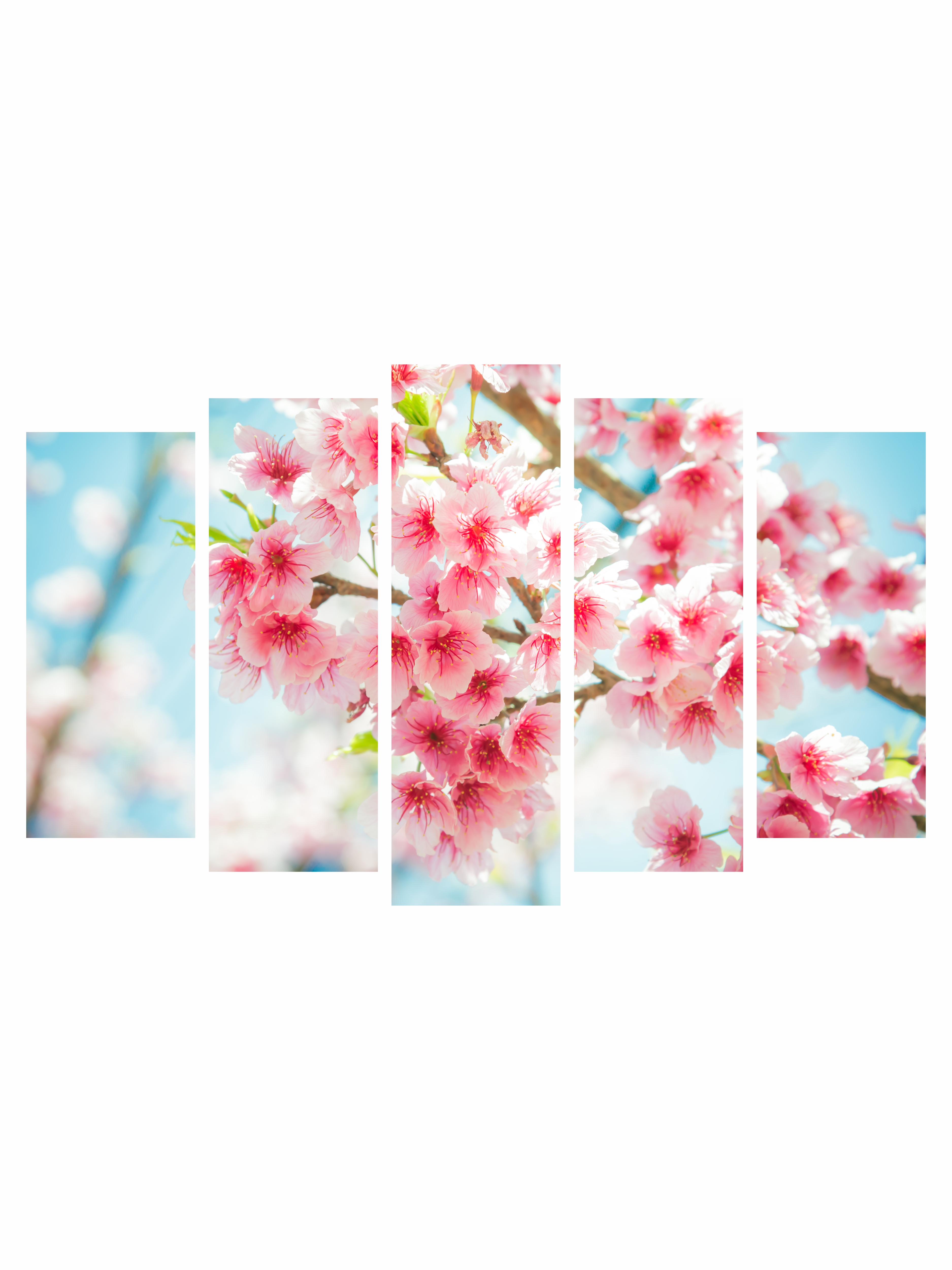 

Модульные картины на экокоже Ultra market KM100 Цветы Ветвь сакуры, Картина модульная