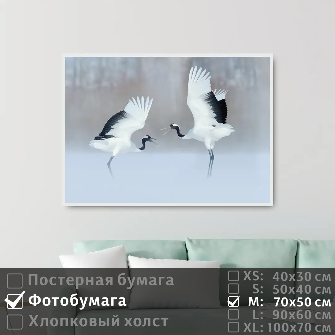 

Постер на фотобумаге ПолиЦентр Два аиста в снежном лесу 70х50 см, ДваАистаВСнежномЛесу
