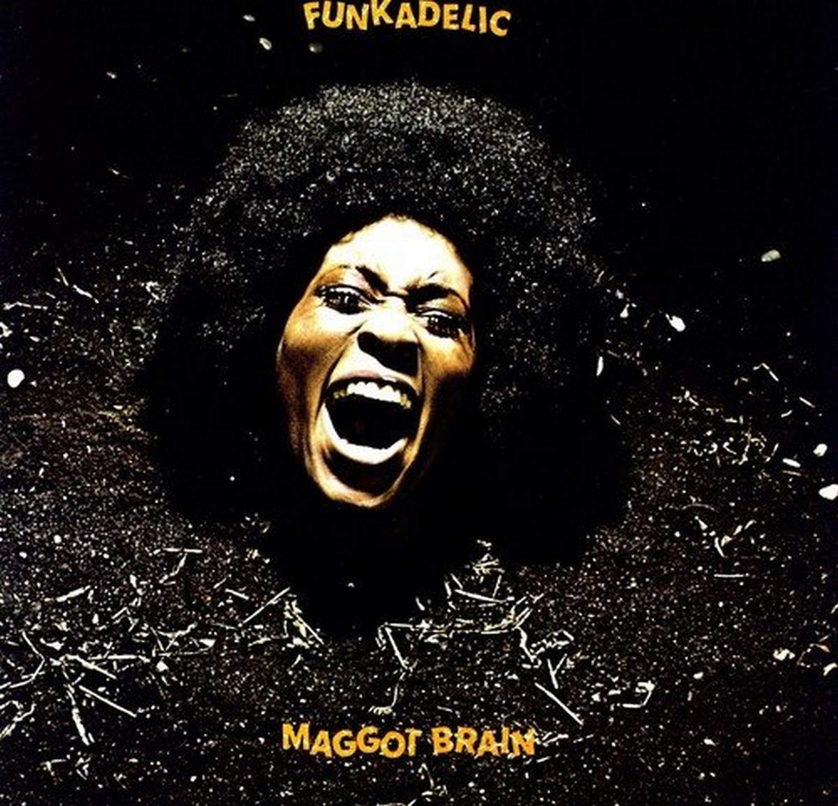 

Funkadelic Maggot Brain (LP)