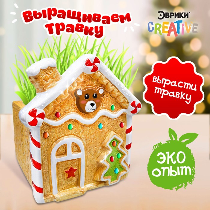 

Набор для опытов Выращиваем травку, домик