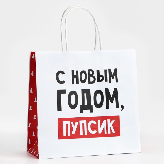 

Пакет подарочный Дарите Счастье С Новым годом, пупсик 22 х 22 х 11 см, Белый