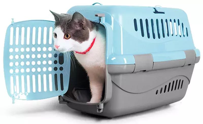 

Переноска для животных ЗООЭКСПРЕСС Турне M с пластиковой дверцей, голубая 48*32*3, Турне