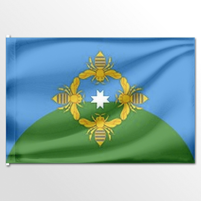 

Флаг ЦТП ФЕНИКС муниципального образования Мушаковское 135x90 см, 7333-135x90