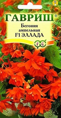 

Семена. Бегония ампельная "Эллада F1" (5 штук)