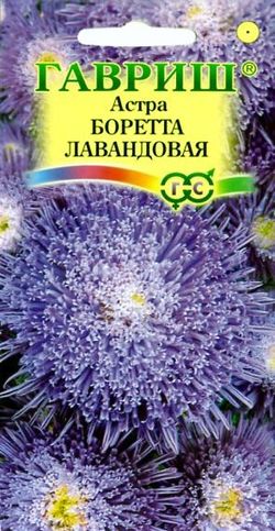 

Семена. Астра "Боретта", лавандовая (вес: 0,3 г)
