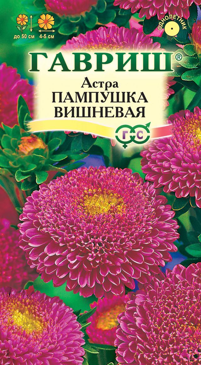 

Семена астра Гавриш Пампушка вишневая 10006540 1 уп.