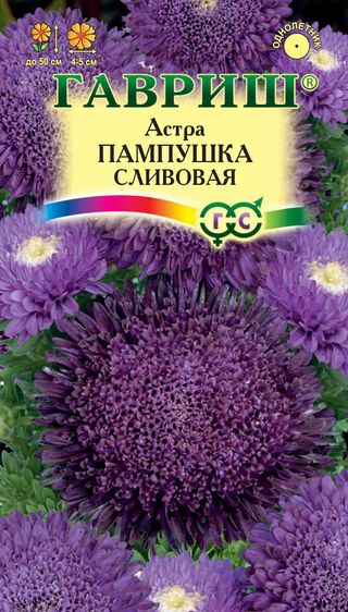 

Семена астра Гавриш Пампушка сливовая 10006544 1 уп.