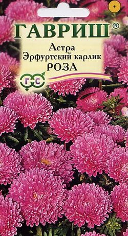 

Семена. Астра "Эрфуртский карлик. Роза" (вес: 0,3 г)