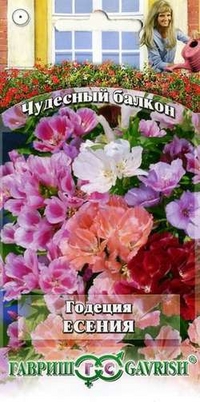

Семена годеция Гавриш Есения 10002140 1 уп.