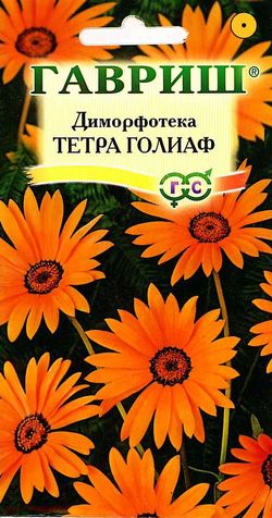 

Семена диморфотека Гавриш Тетра голиаф 748 1 уп.