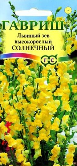 

Семена. Львиный зев "Солнечный" (вес: 0,1 г)
