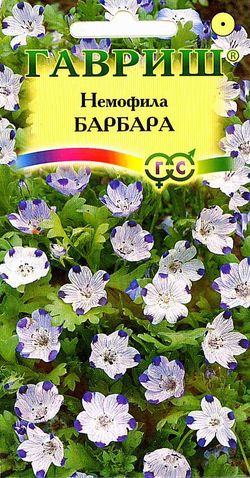

Семена. Немофила "Барбара", пятнистая (вес: 0,3 г)