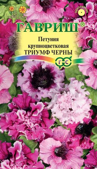 

Семена петуния Гавриш Триумф черный 10006213 1 уп.