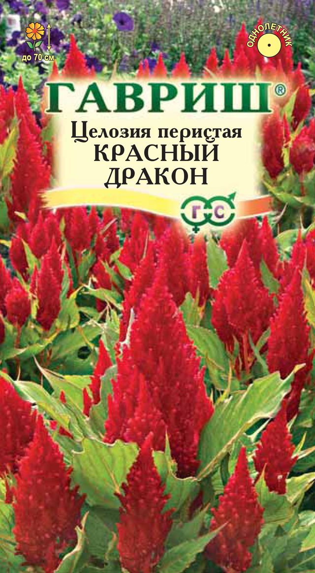 

Семена. Целозия перистая "Красный дракон" (вес: 0,1 г)