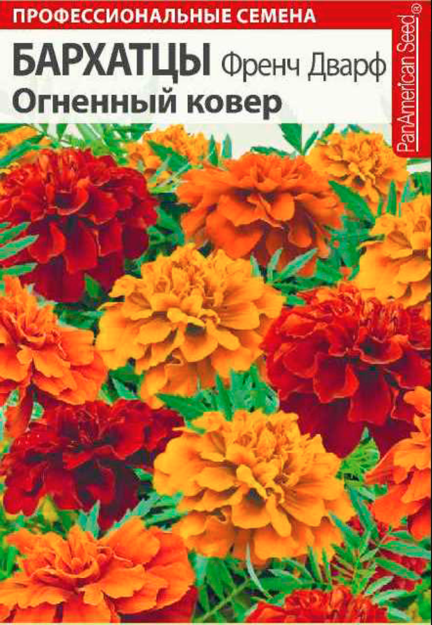

Бархатцы Френч Дварф Огненный ковер, 8 шт. PanAmerican Seeds Профессиональные семена