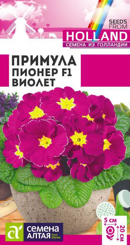 

Примула Пионер Виолет F1, 5 шт. Семена из Голландии