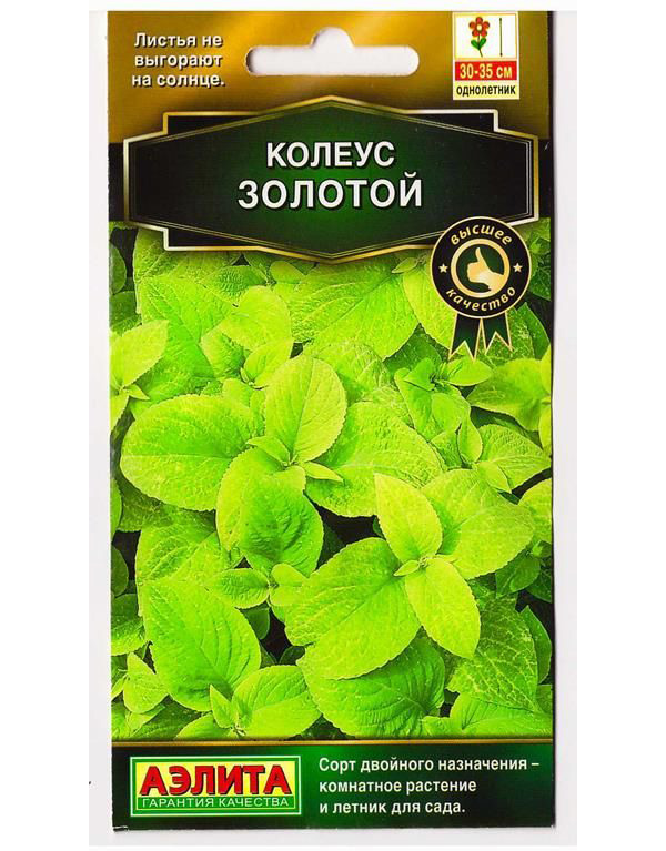 

Семена Аэлита Колеус Блюме Золотой, 10 шт.