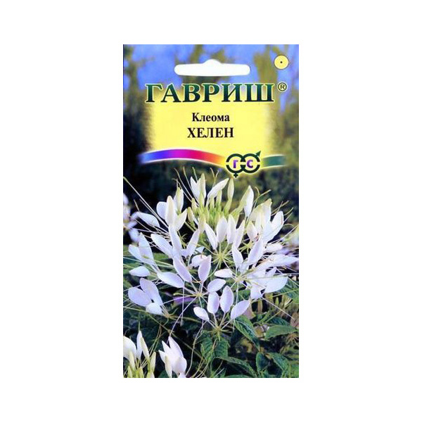 

Семена клеома Гавриш Хелен 10001498 1 уп.