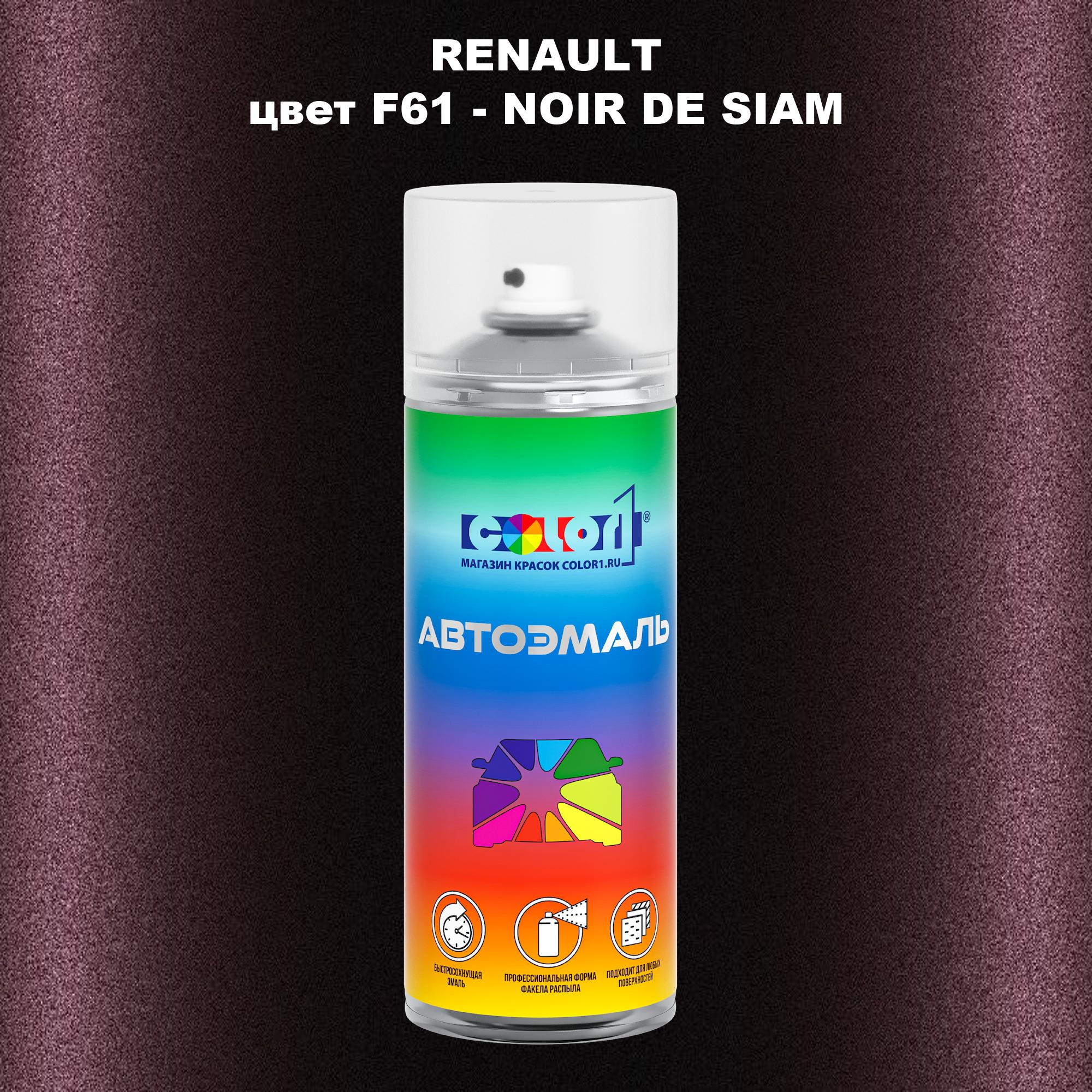 

Аэрозольная краска COLOR1 для RENAULT, цвет F61 - NOIR DE SIAM, Прозрачный