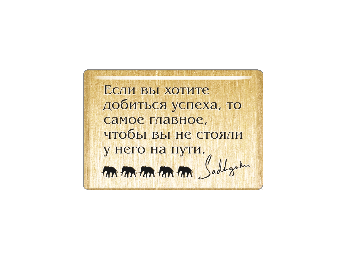 Магнит Если вы хотите добиться успеха, то самое главное, чтобы вы не стояли у него на пут