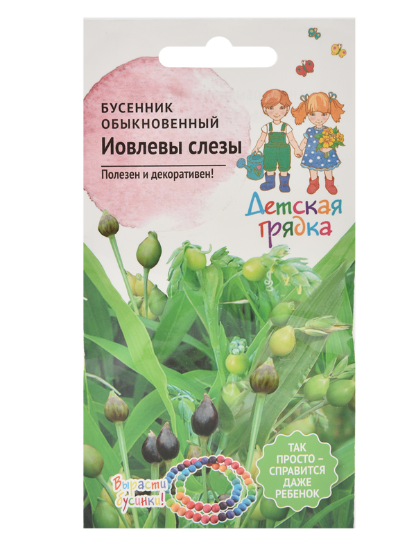 

Семена бусенник АгроСидсТрейд Иовлевы слезы T03177-AGS 1 уп., Иовлевы слезы