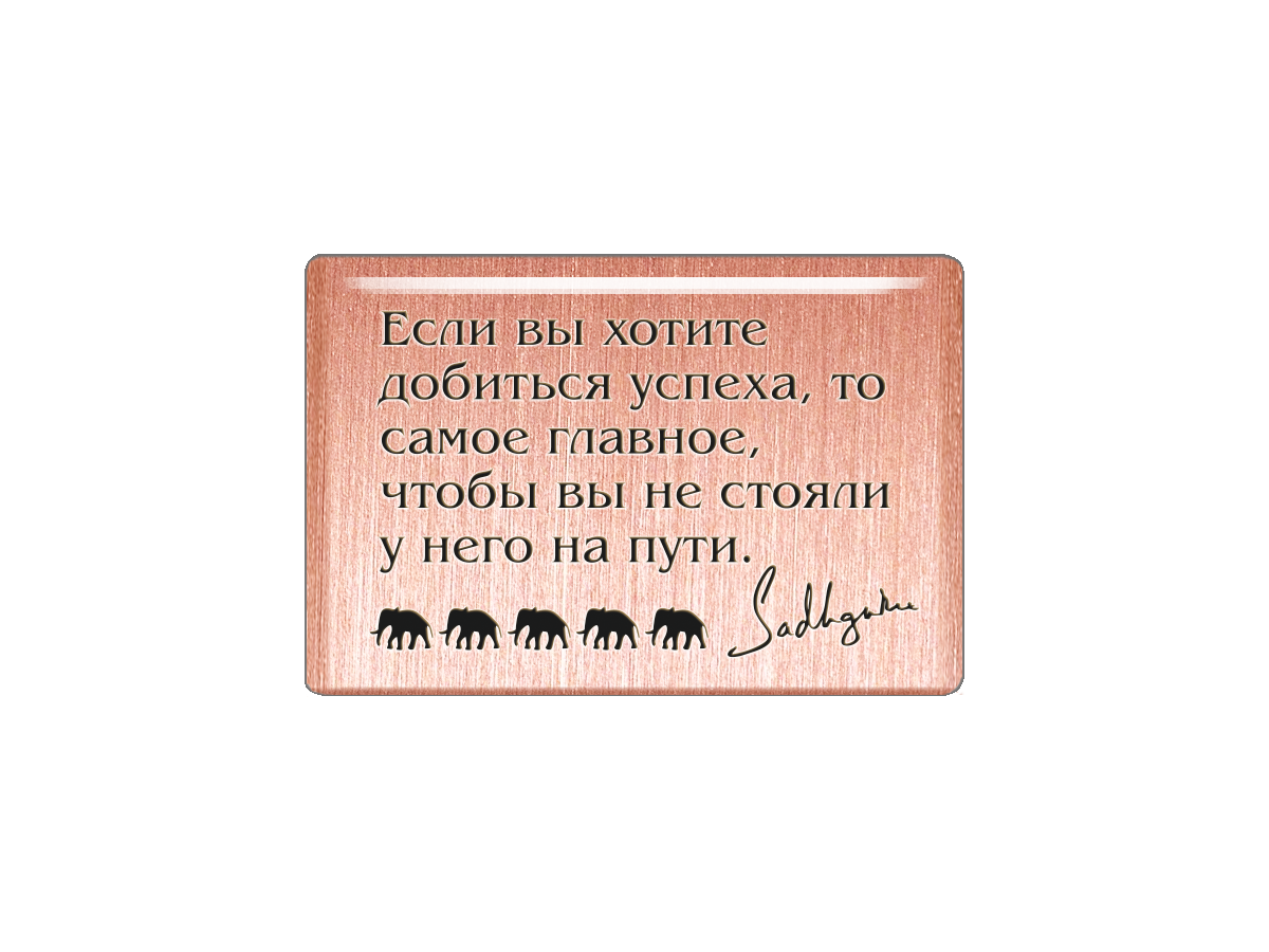 

Магнит Если вы хотите добиться успеха, то самое главное, чтобы вы не стояли у него на пут, Т18.211.01.00