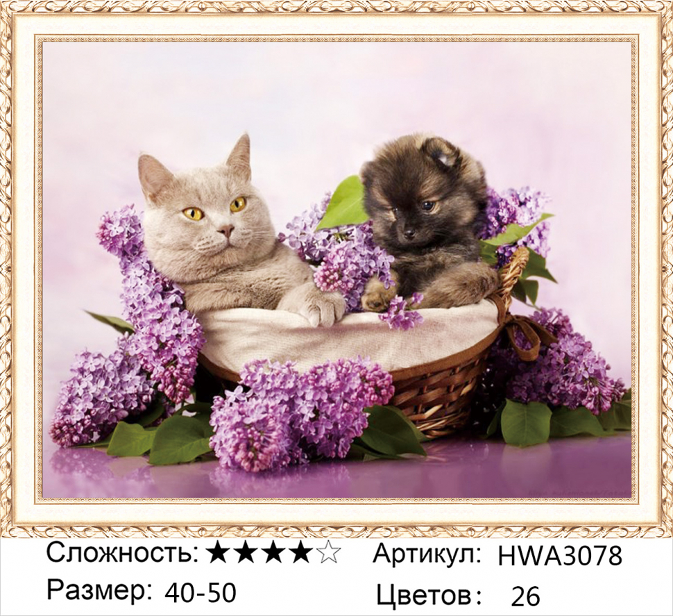 

Алмазная мозаика DVEKARTINKI Щенок и кошечка в корзинке среди сирени 40x50 на подрамнике, Щенок и кошечка в корзинке среди сирени