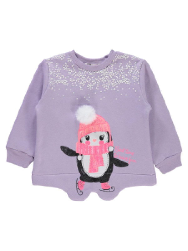 

Свитшот Civil 192076055K21, 3-4 лет, лиловый (доставка из-за рубежа), 192076055K21