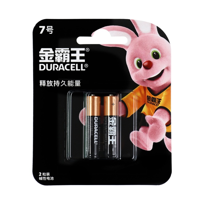 

Батарейка алкалиновая Duracell Basic (CH), AAA, LR03-2BL, 1.5В, блистер, 2 шт