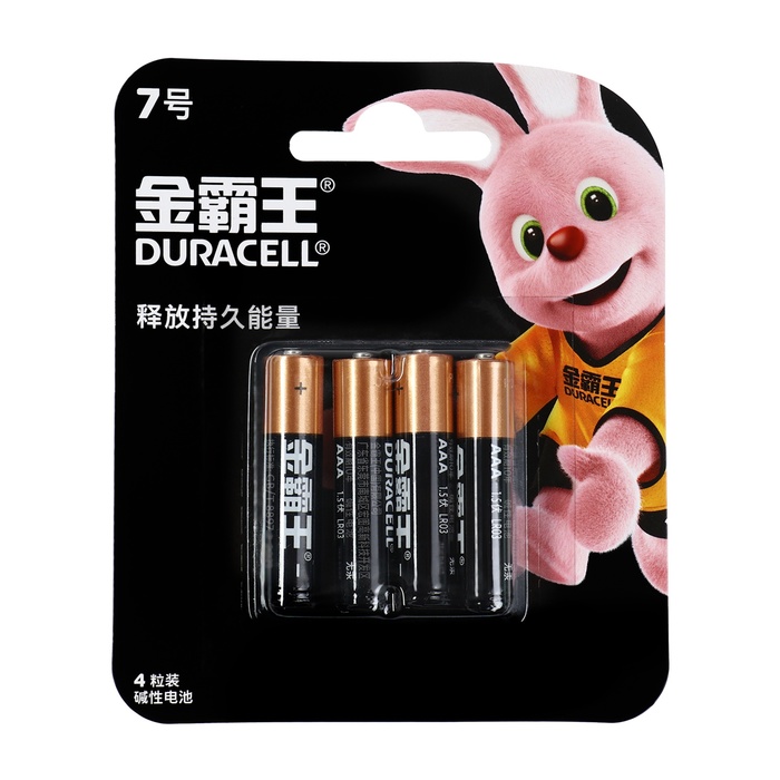 

Батарейка алкалиновая Duracell Basic (CH), AAA, LR03-4BL, 1.5В, блистер, 4 шт