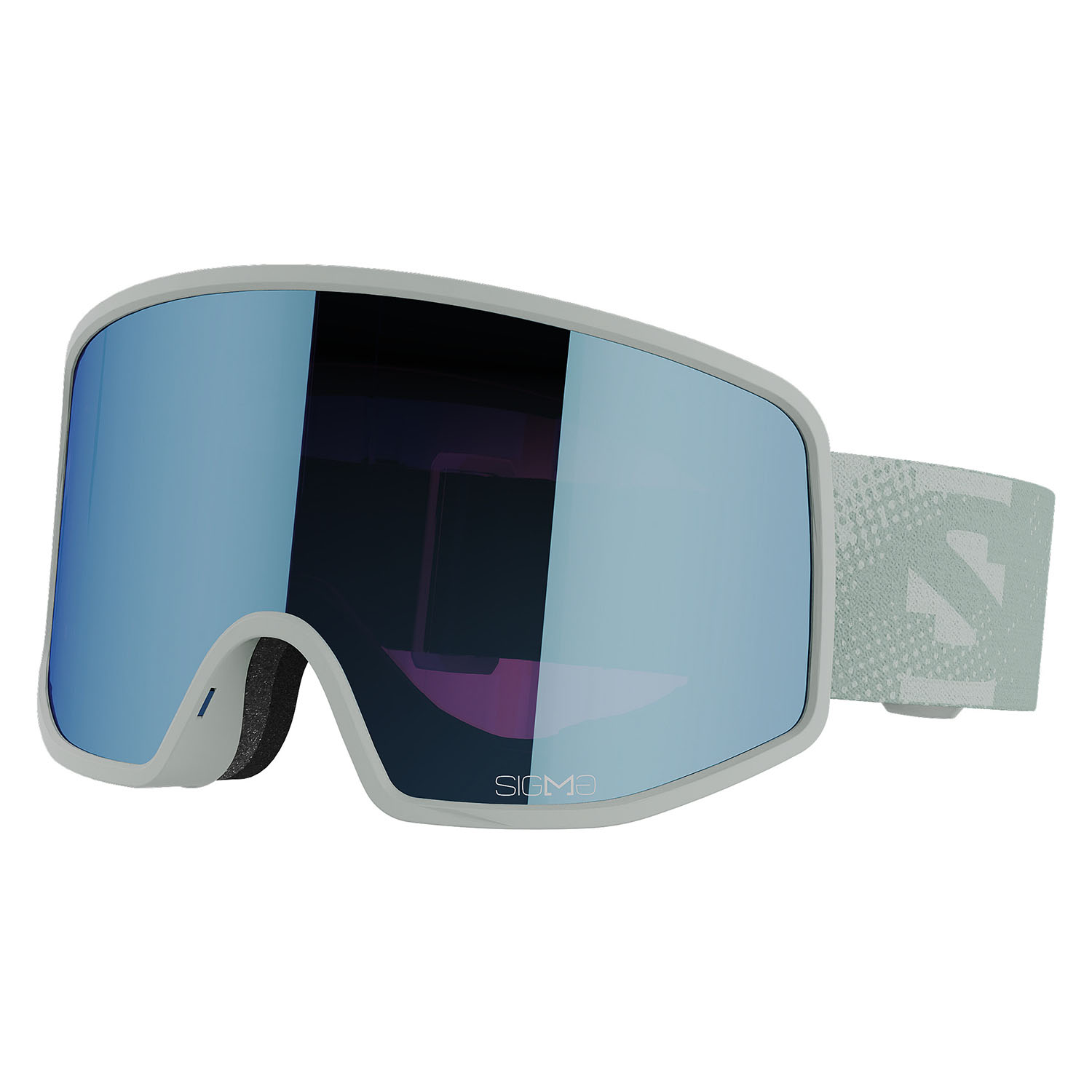 Очки Горнолыжные Salomon Goggles Sentry Pro Sigma Whitemoss (Б/Р)