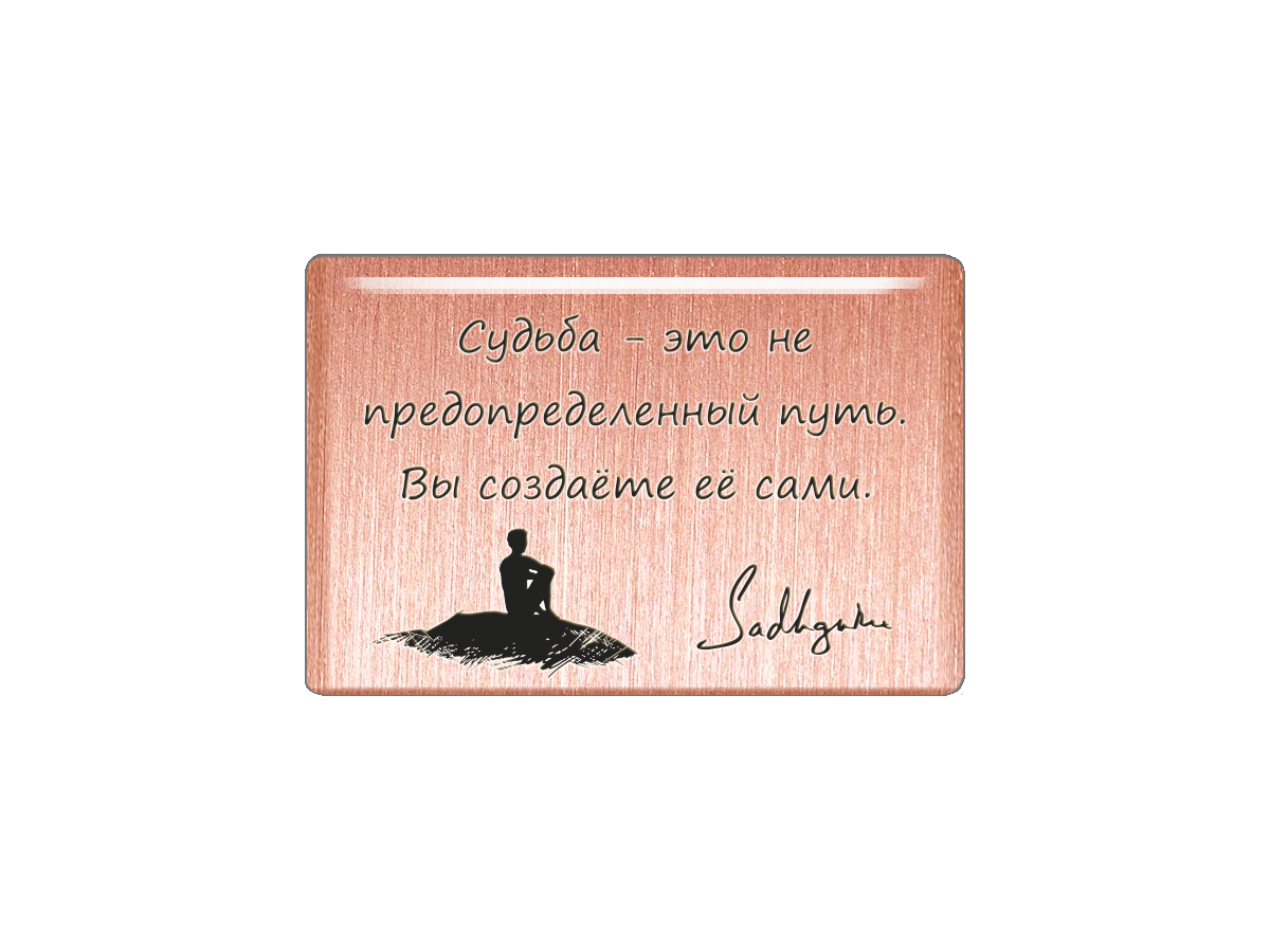 

Магнит Судьба - это не предопределенный путь. Вы создаете ее сами. Садхгуру, Т18.228.01.00