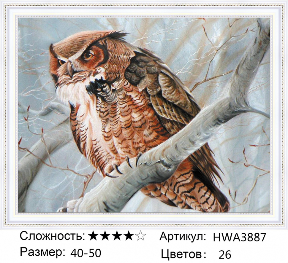 

Алмазная мозаика DVEKARTINKI Суровый филин на ветке 40x50 на подрамнике, Суровый филин на ветке