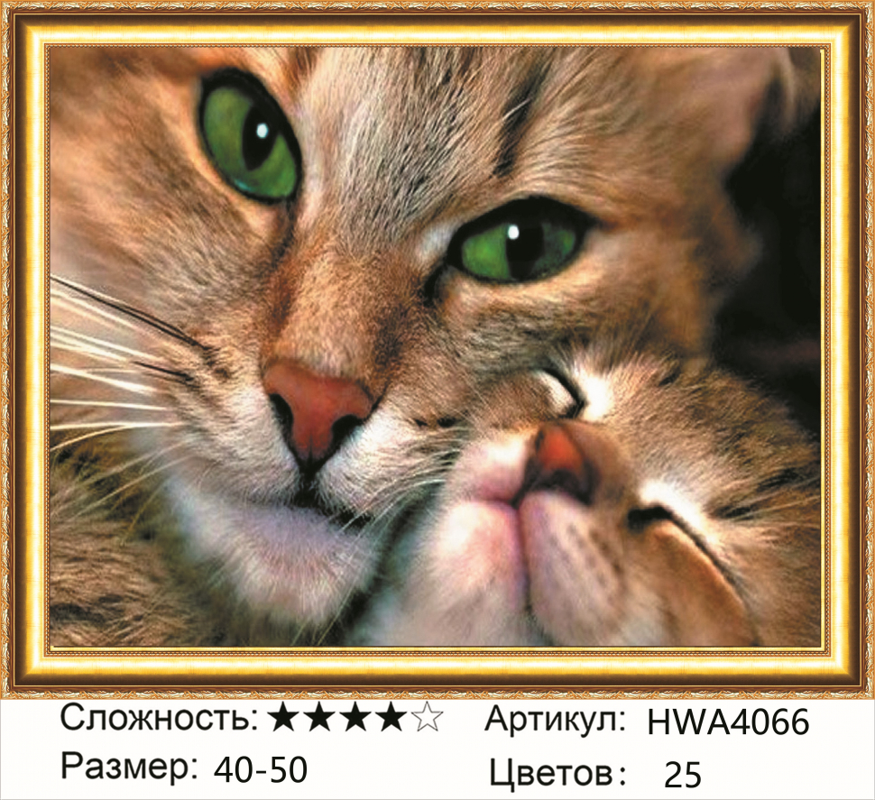 

Алмазная мозаика DVEKARTINKI Зеленоглазая кошечка и ее малыш 40x50 на подрамнике, Зеленоглазая кошечка и ее малыш