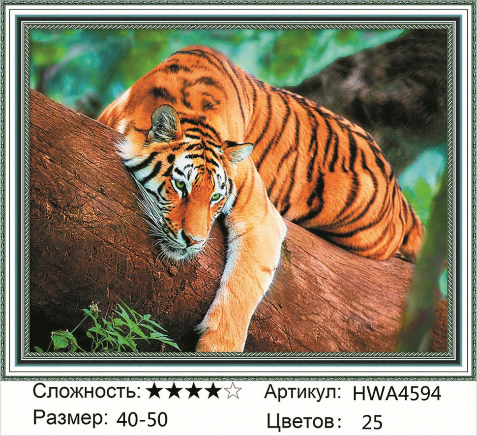 

Алмазная мозаика DVEKARTINKI Тигр 40x50, Тигр