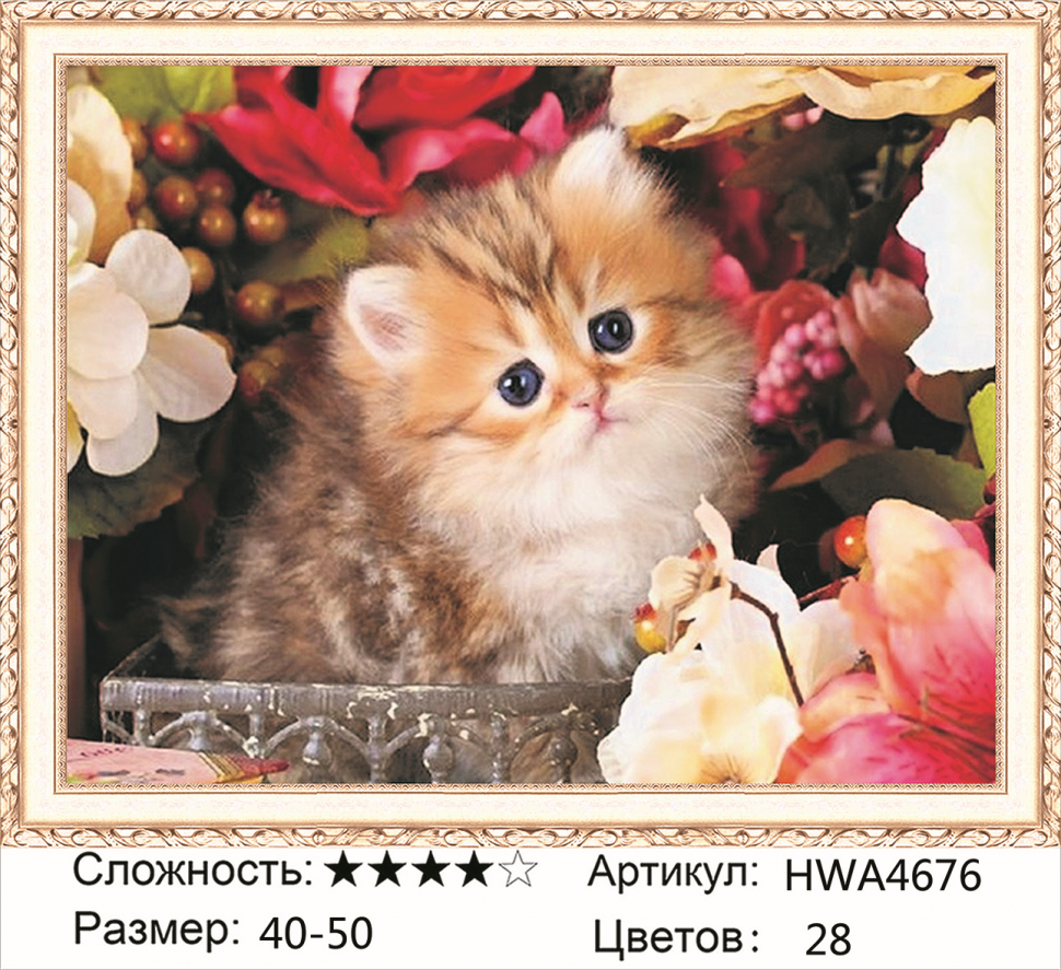 

Алмазная мозаика DVEKARTINKI Милый котик 40x50, Милый котик