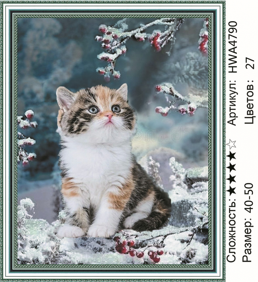 

Алмазная мозаика DVEKARTINKI Милый котенок 40x50, Милый котенок