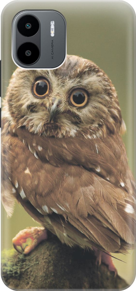 

Силиконовый чехол на Xiaomi Redmi A1 с принтом "Сова на дереве", Белый;зеленый, 159259