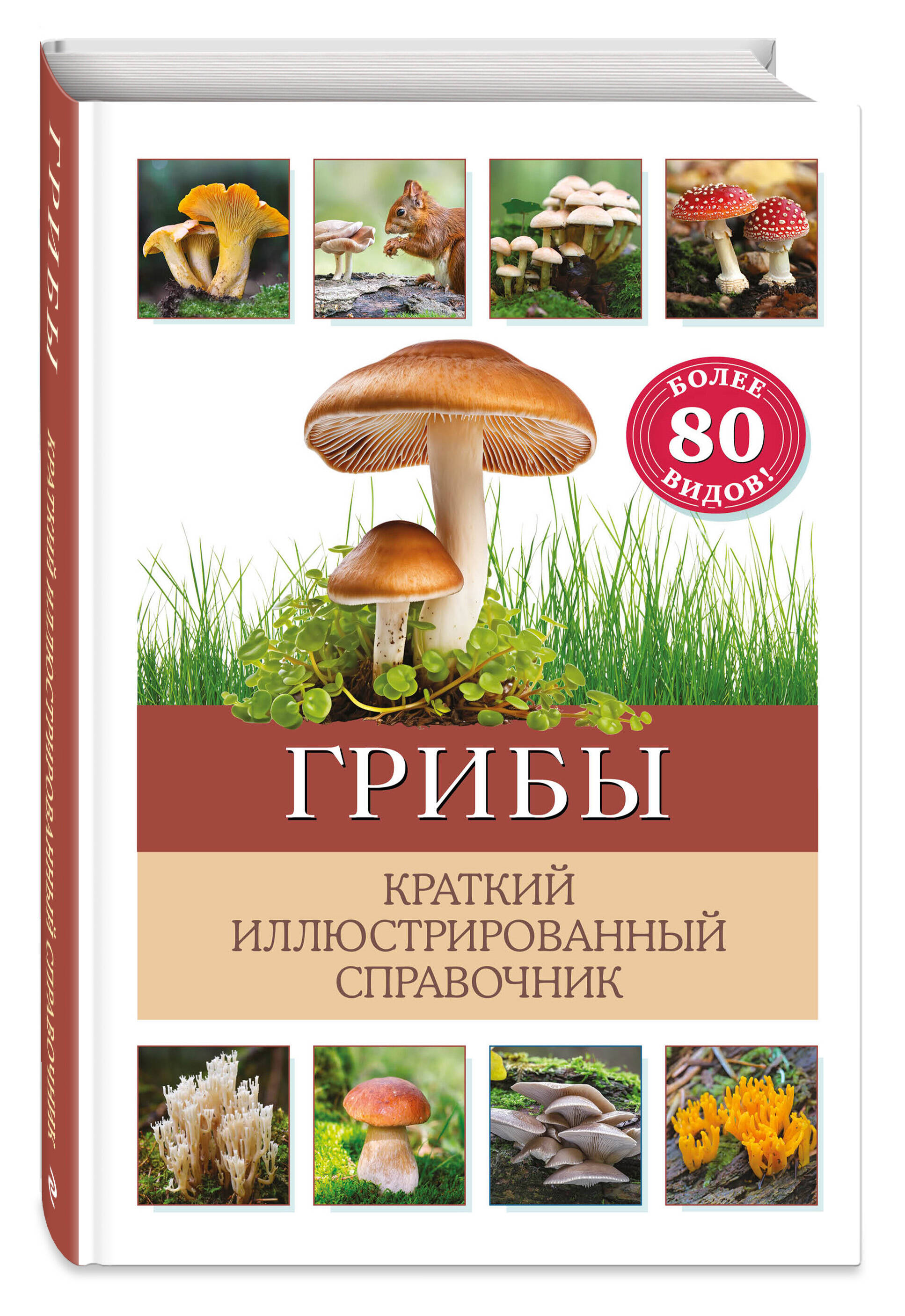 

Грибы Краткий иллюстрированный справочник