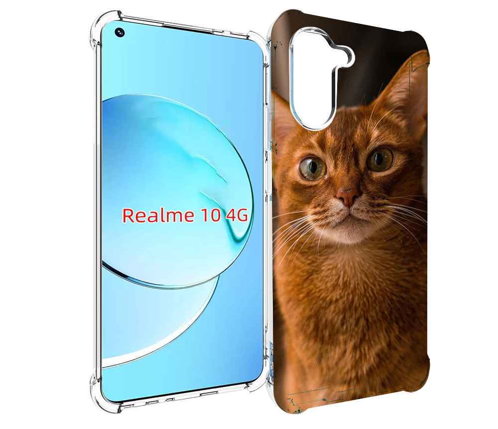 

Чехол MyPads порода кошки абисинская для Realme 10, Прозрачный, Tocco