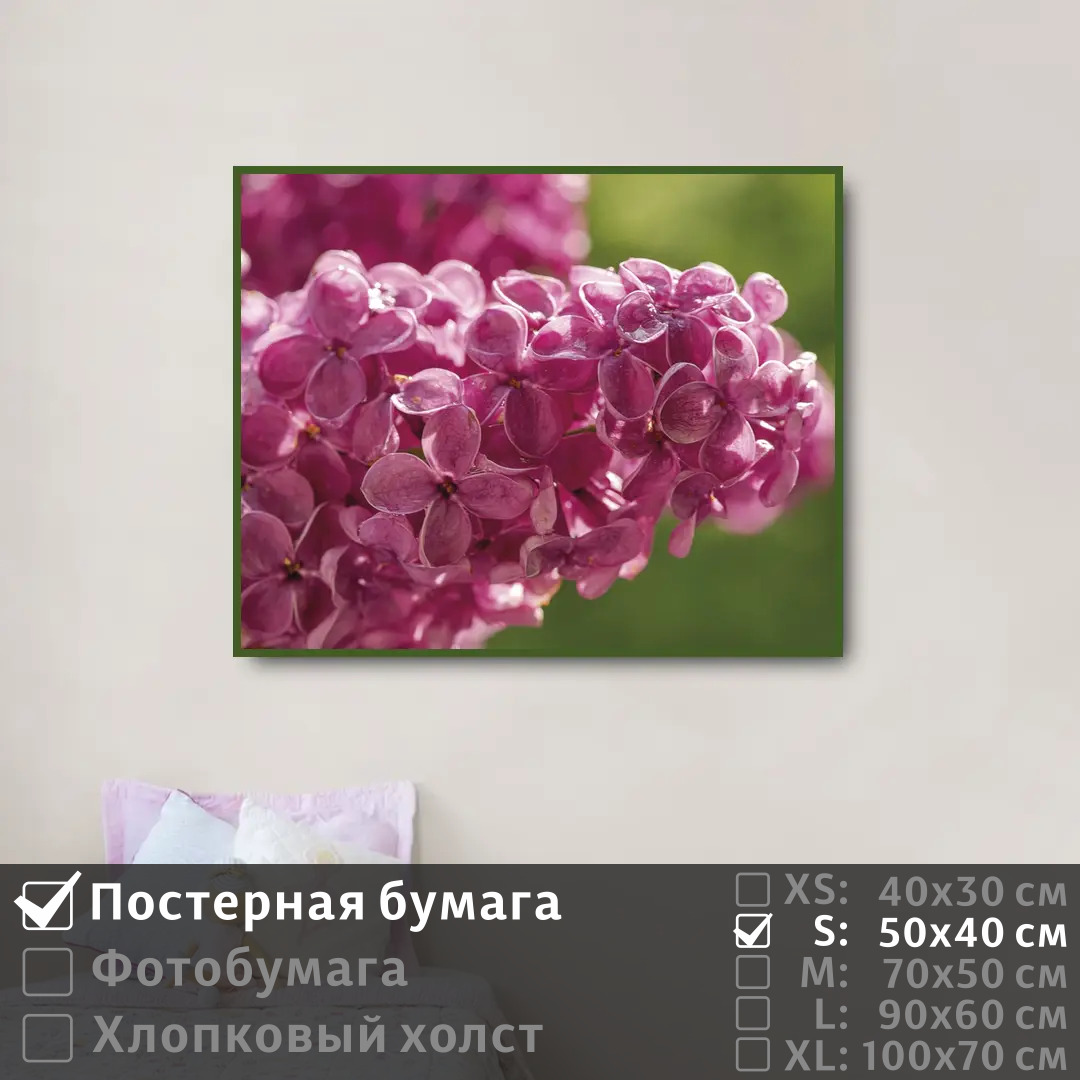 

Постер на стену ПолиЦентр Ветка сирени с каплями 50х40 см, ВеткаСирениСКаплями