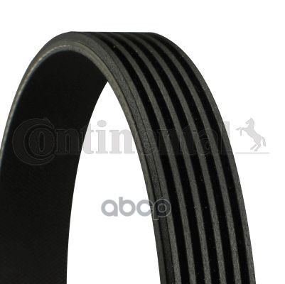

Ремень ручейковый CONTITECH 6PK2264
