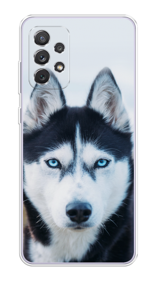 

Чехол на Samsung Galaxy A73 "Хаски 2", Синий;белый, 2104650-1