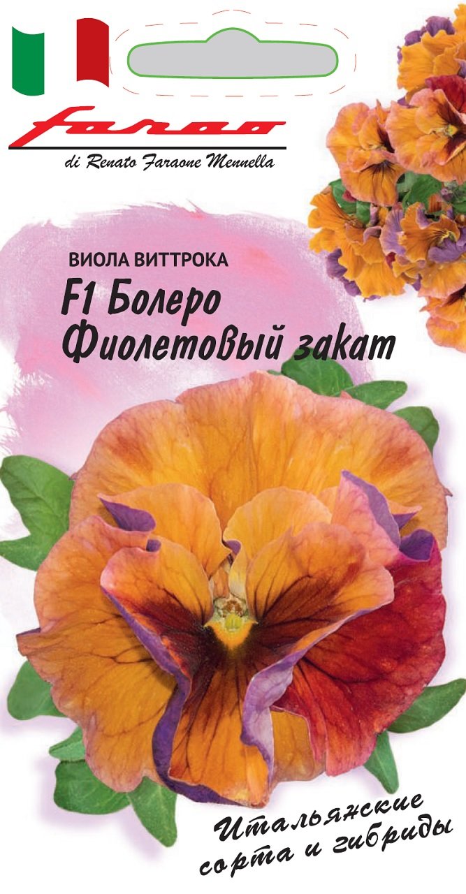 Семена анютины глазки Гавриш Болеро Фиолетовый закат F1 99998989 1 уп.